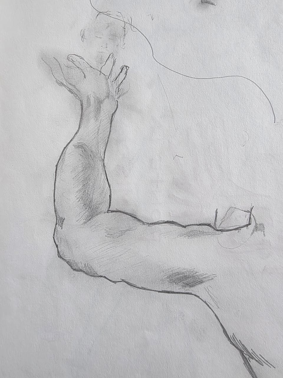 Graphite anatomical study of a flexed arm with detailed musculature