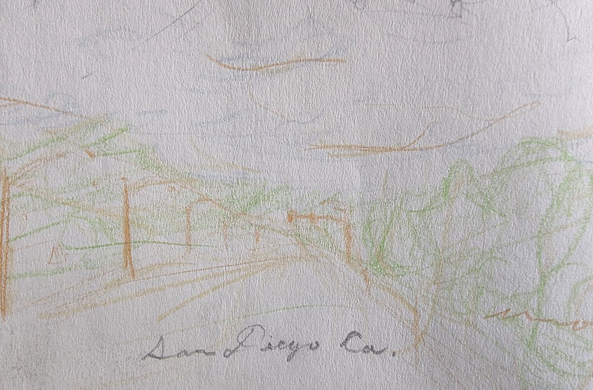 Colored pencil sketch labeled San Diego Co with green foliage