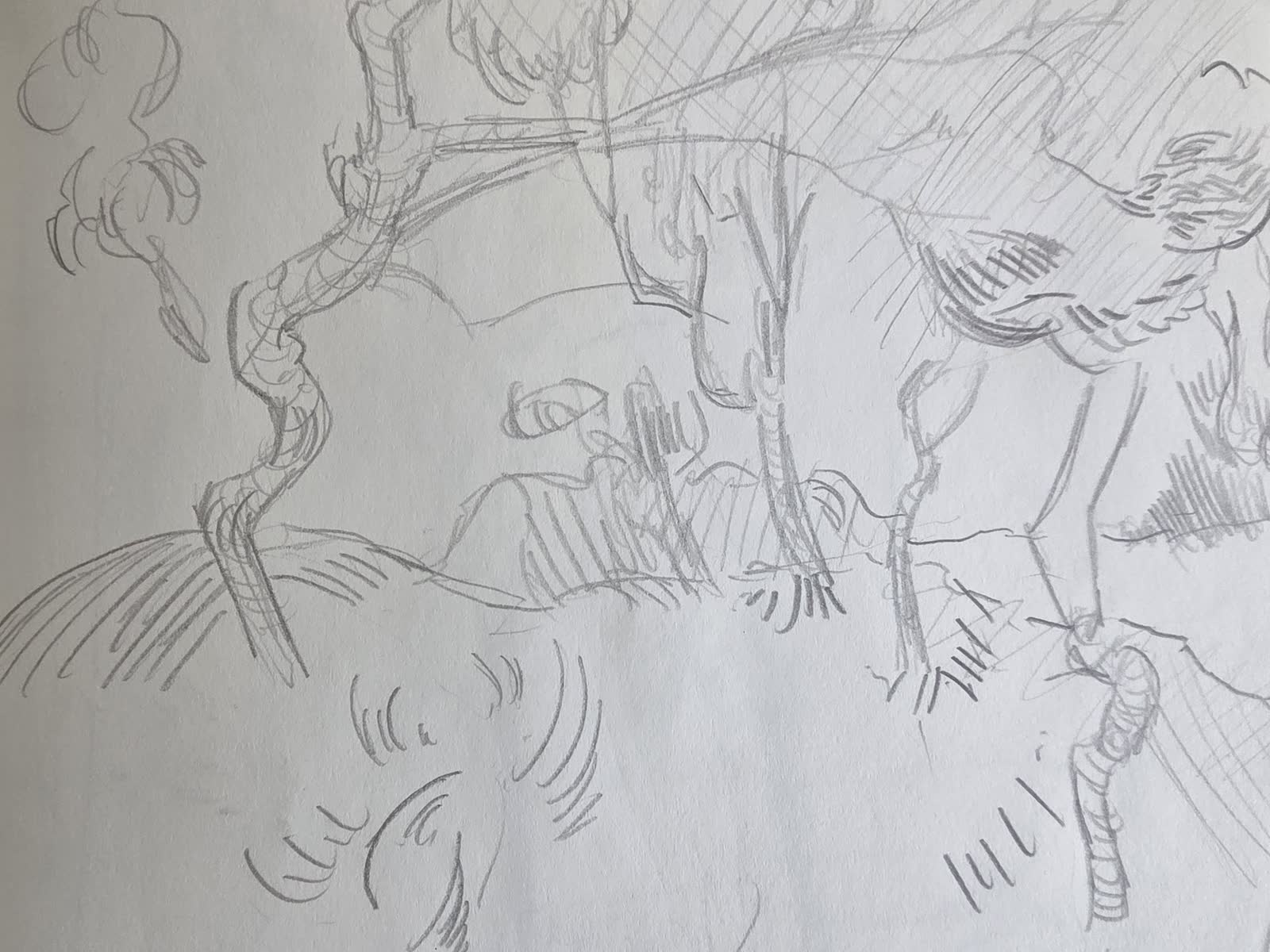 Graphite sketch of gnarled, twisted tree trunks with cross-hatched shading in a rough landscape