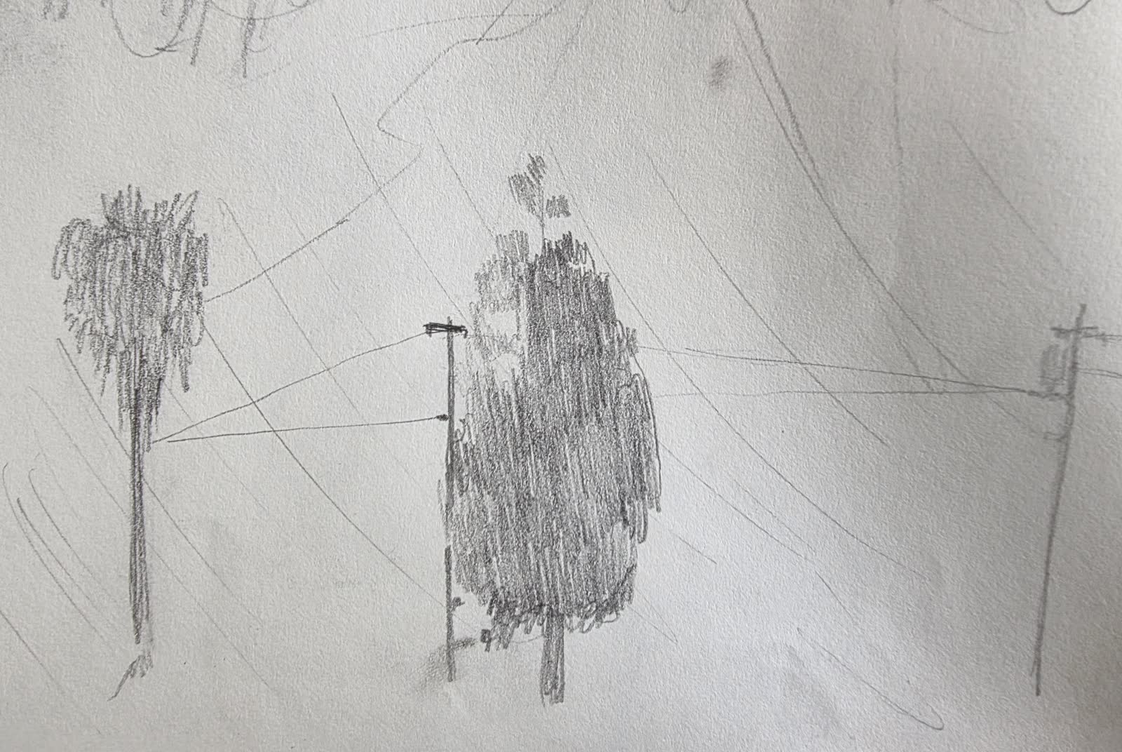 Graphite sketch of trees and utility poles with wires stretching across the landscape